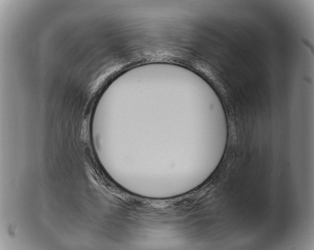 X0000102510583200808081009
