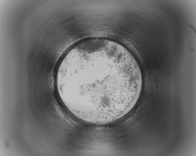 X0000102510584200808081009