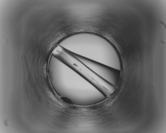 X0000102510585200808081009