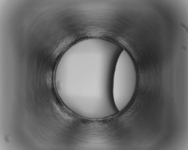 X0000102510586200808081009