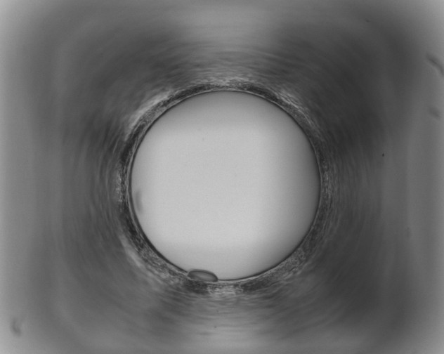 X0000102510587200808081009
