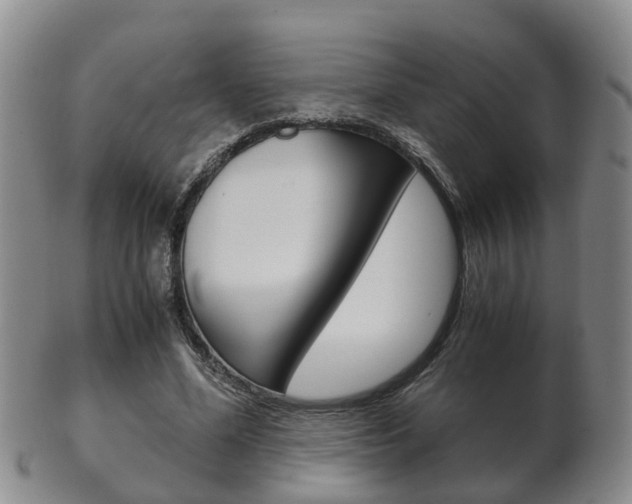 X0000102510588200808081009