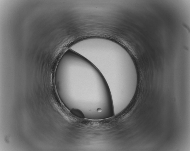 X0000102510589200808081009