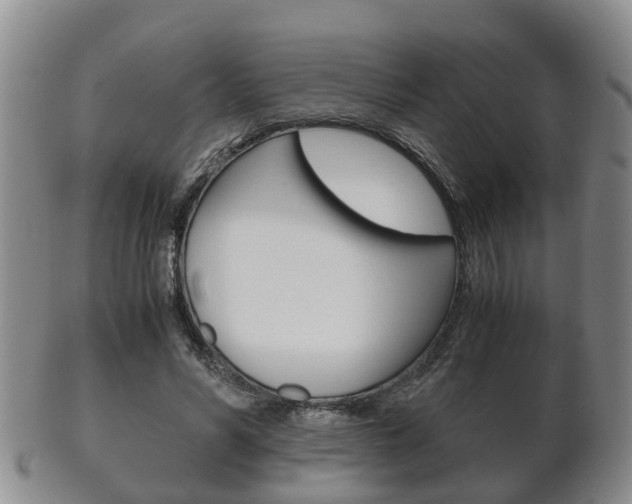 X0000102510590200808081009