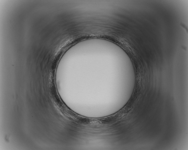 X0000102510591200808081009