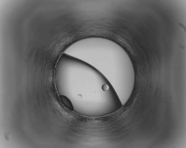 X0000102510593200808081009