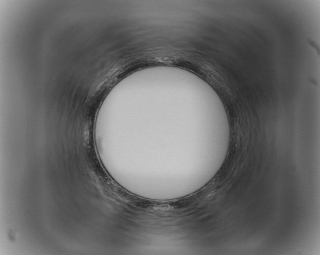 X0000102510595200808081009