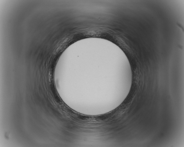X0000102510597200808081009