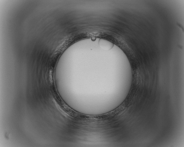 X0000102510598200808081009
