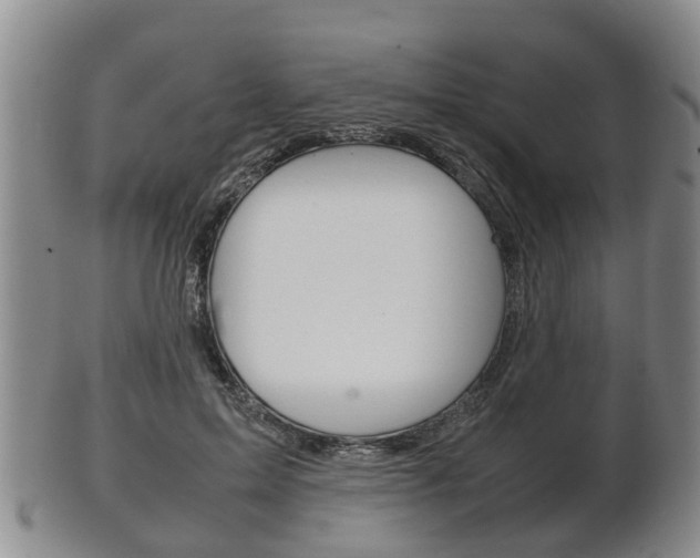 X0000102510599200808081009