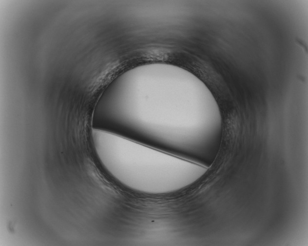 X0000102510600200808081009