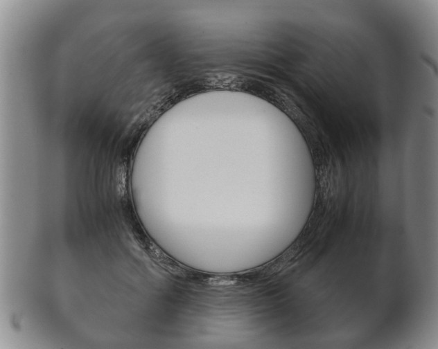 X0000102510602200808081009