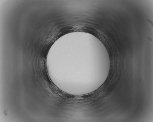 X0000102510603200808081009