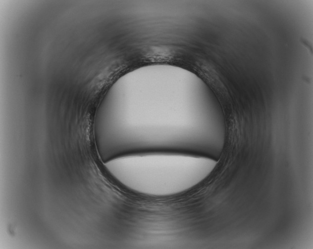 X0000102510604200808081009