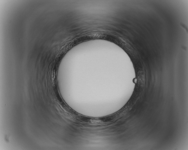 X0000102510605200808081009