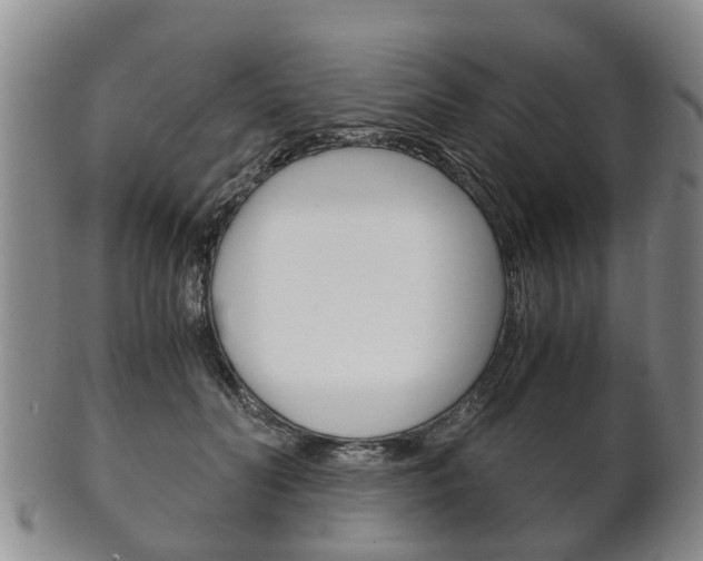 X0000102510606200808081009