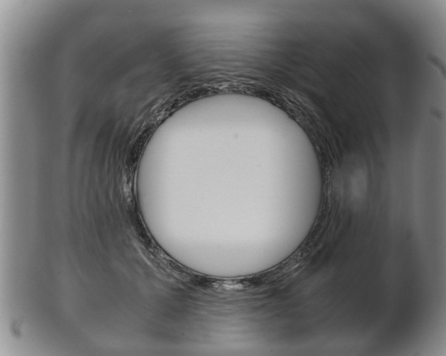 X0000102510607200808081009