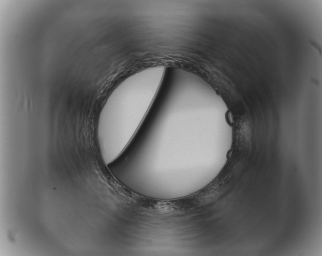 X0000102510608200808081009