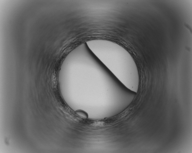 X0000102510609200808081009