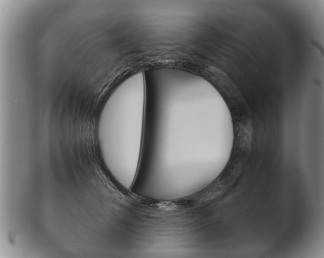 X0000102510612200808081008