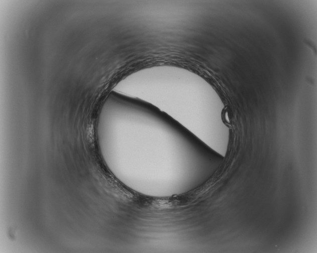 X0000102510613200808081008