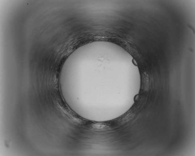 X0000102510614200808081008