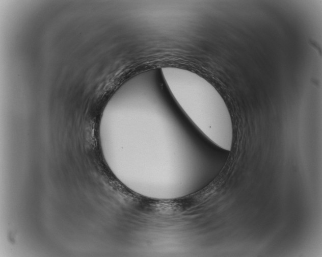 X0000102510615200808081008