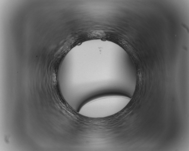 X0000102510617200808081008