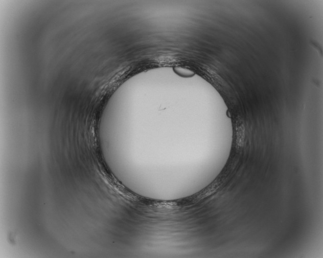 X0000102510618200808081008