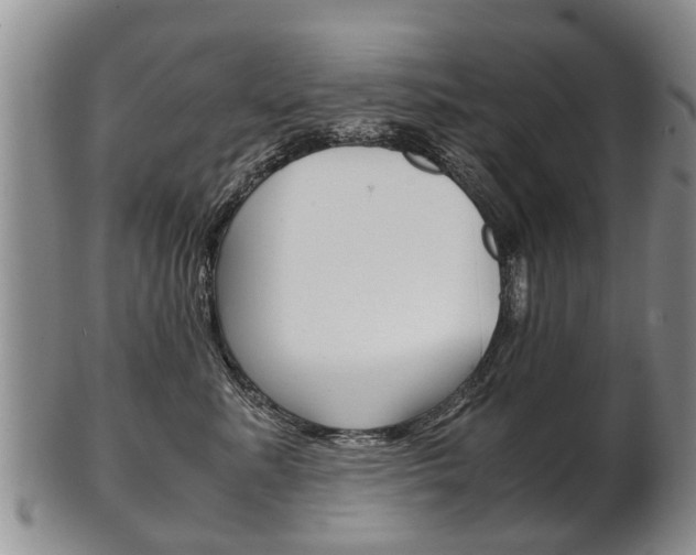 X0000102510619200808081008