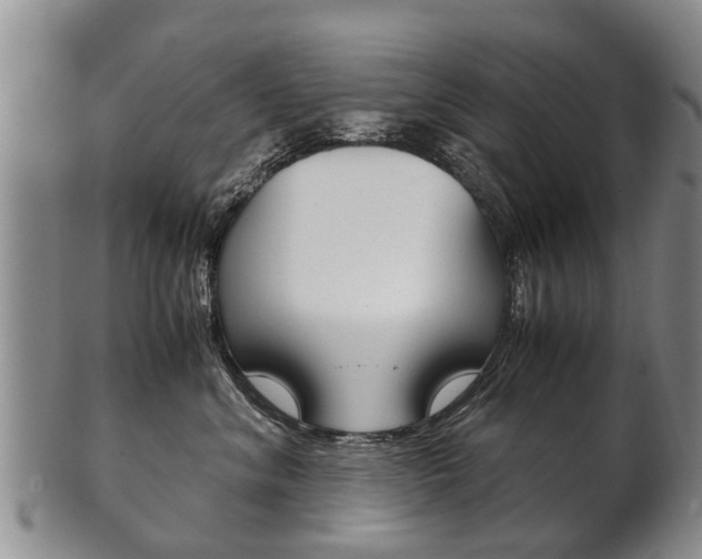 X0000102510620200808081008