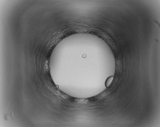 X0000102510621200808081008