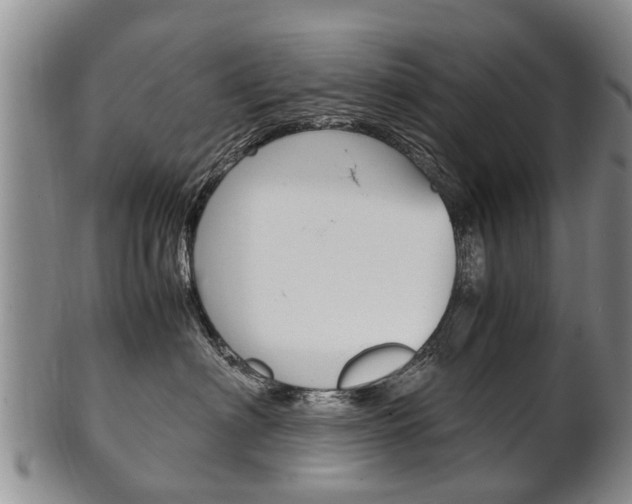 X0000102510622200808081008