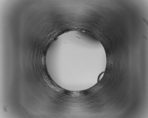 X0000102510623200808081008