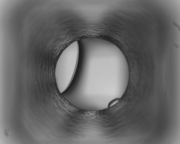 X0000102510624200808081008