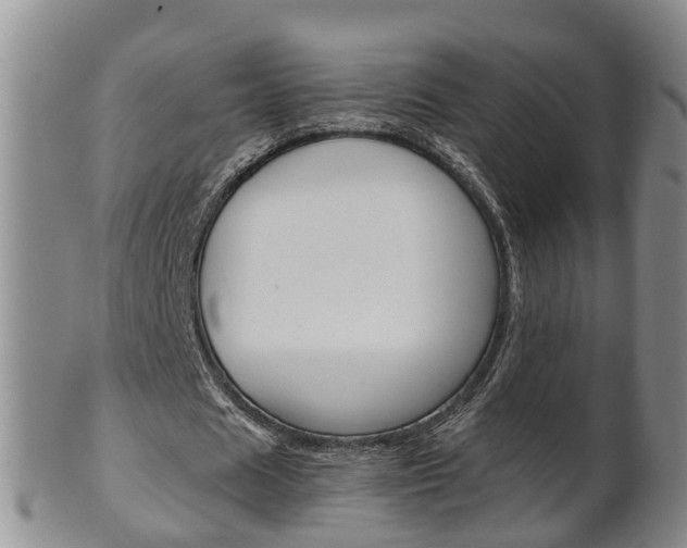 X0000102510625200808081007