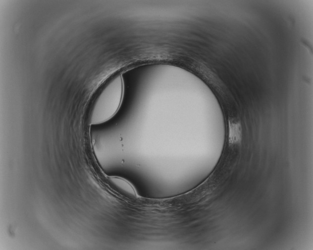 X0000102510627200808081007