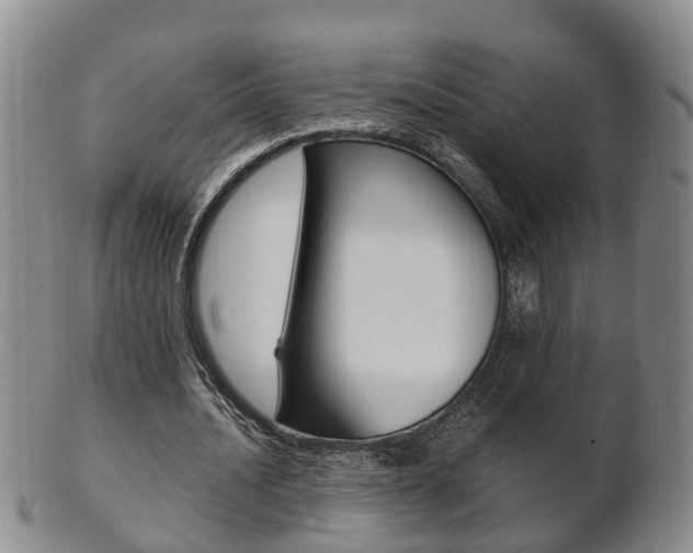 X0000102510628200808081008