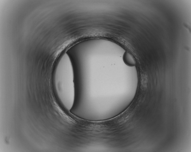 X0000102510629200808081008
