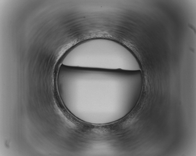 X0000102510630200808081008