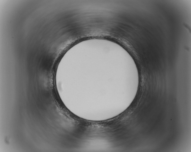 X0000102510632200808081008