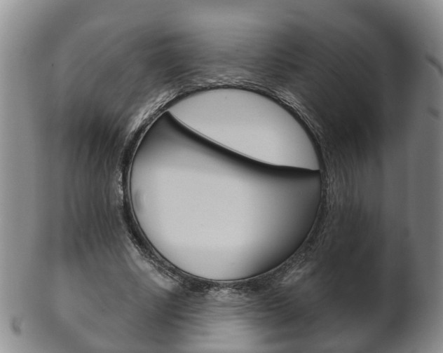 X0000102510634200808081008