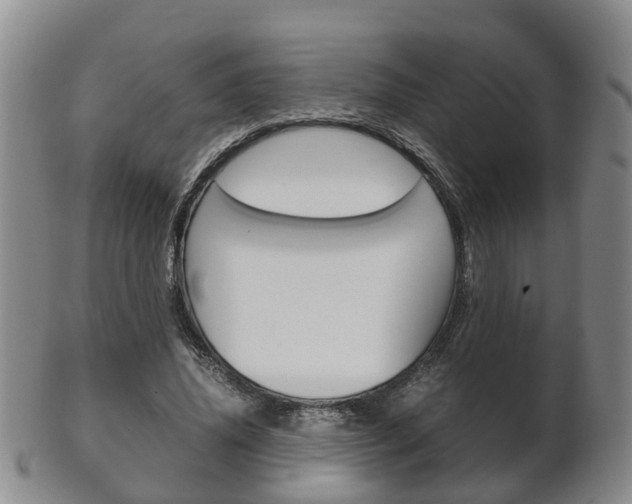 X0000102510636200808081008