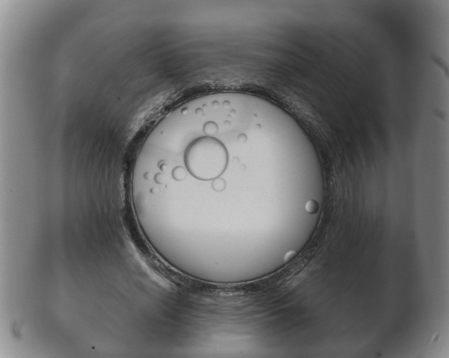 X0000102510638200808081008