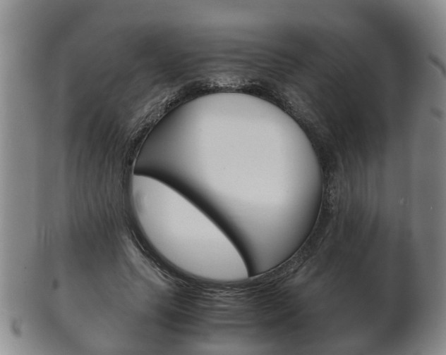 X0000102510639200808081008