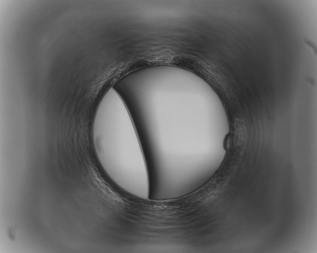 X0000102510641200808081008