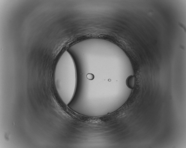 X0000102510642200808081008