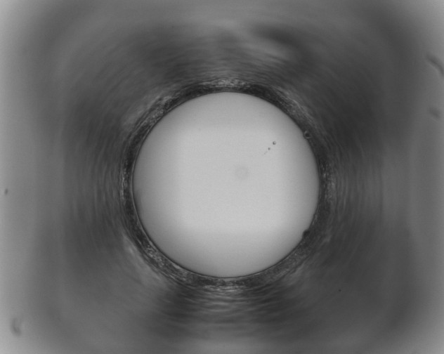 X0000102510643200808081008