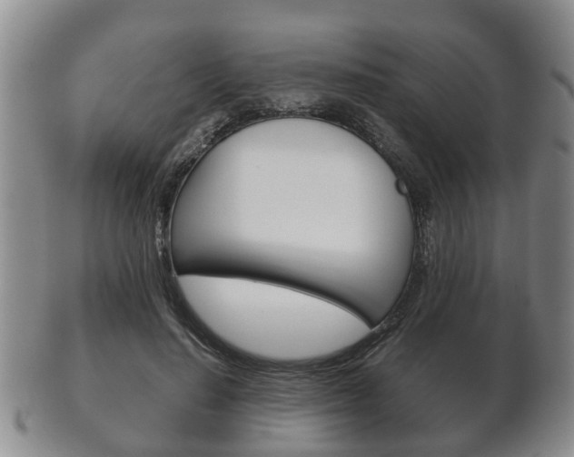 X0000102510644200808081008