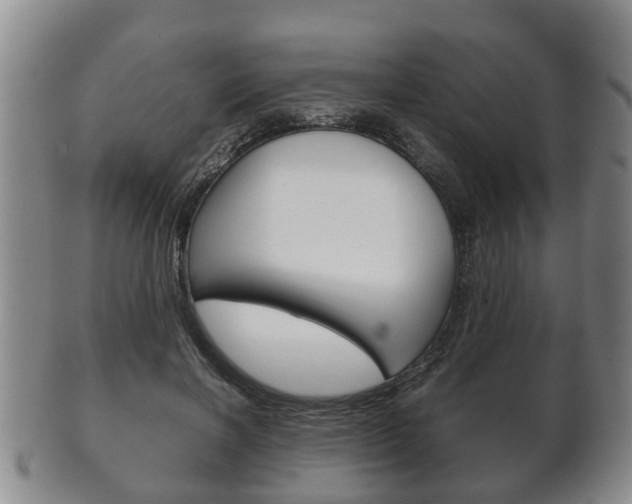 X0000102510646200808081008